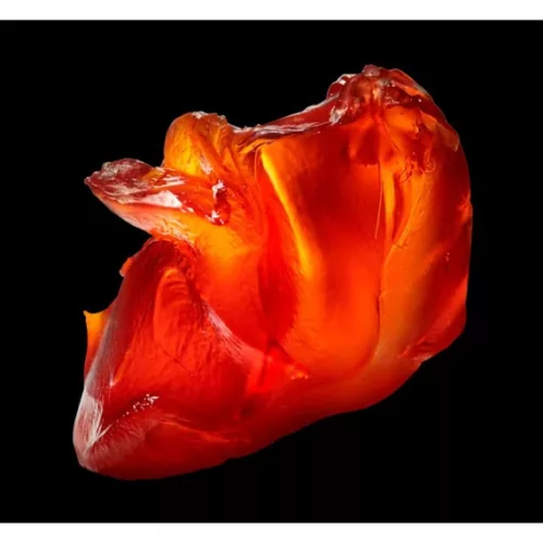 Dick Johnson Original Inepuisable hajformázó