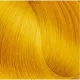 EXPERTIA HAIR COLOR - tartós hajfesték 100ml 0.33 GOLD